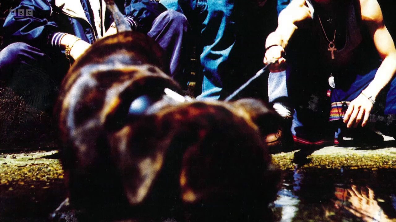 Boybands History episode 1