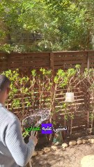 قصة مش مهمة لناس كتير - مهمة بالنسبالي