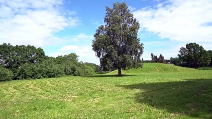 Viking Dead Episode 5 Mysteries of the Oseberg