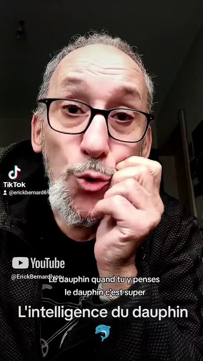 L'intelligence du dauphin 🐬