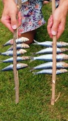 Cool fish cooking ideas, how to make a great New Year's dish and more🍖