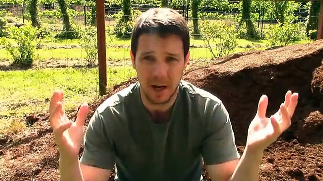 The BEST Medium for Rooting your Cuttings _ 3 Criteria for Successful Plant Propagation