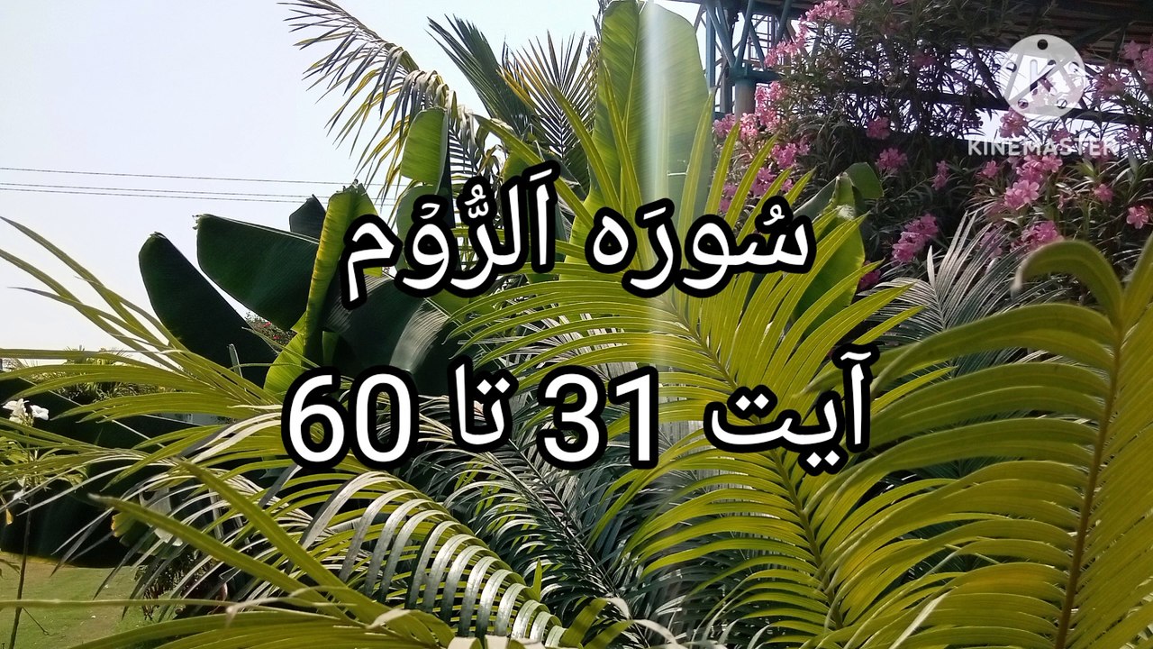 Surah Rum | Tilawat Surah Ar Rum | quran recitation | beautiful voice |