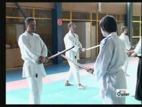 Aïkido Traditionnel: Stage de Masevaux avril 2008