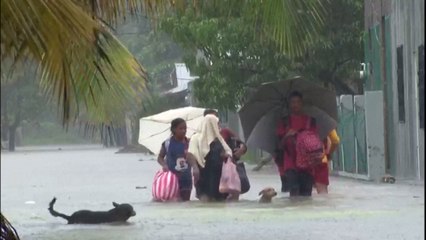 La tormenta tropical Sarah toca tierra en Honduras, se prevén fuertes lluvias para el fin de semana