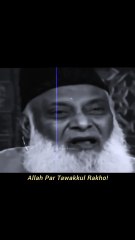 Trust on Allah SWT
