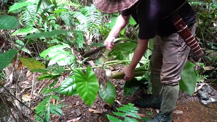 EP.130 - Faça Abrigos de Bushcraft, Pegue Sapos e Cozinhe