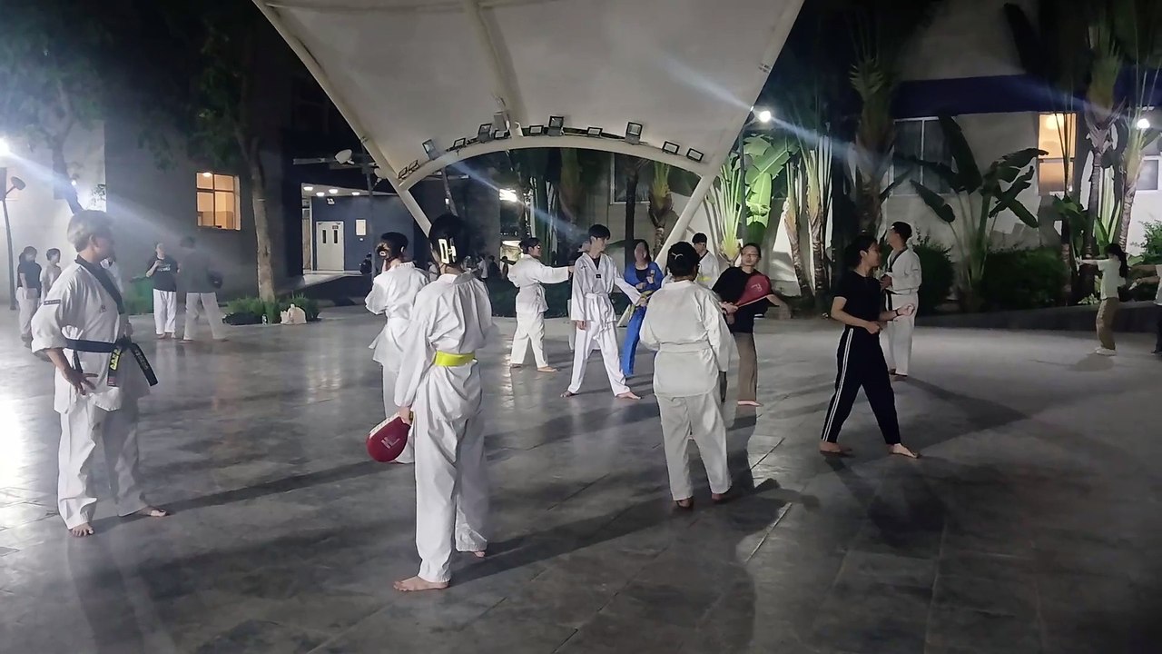 Taekwondo, tkd 20241111_193243