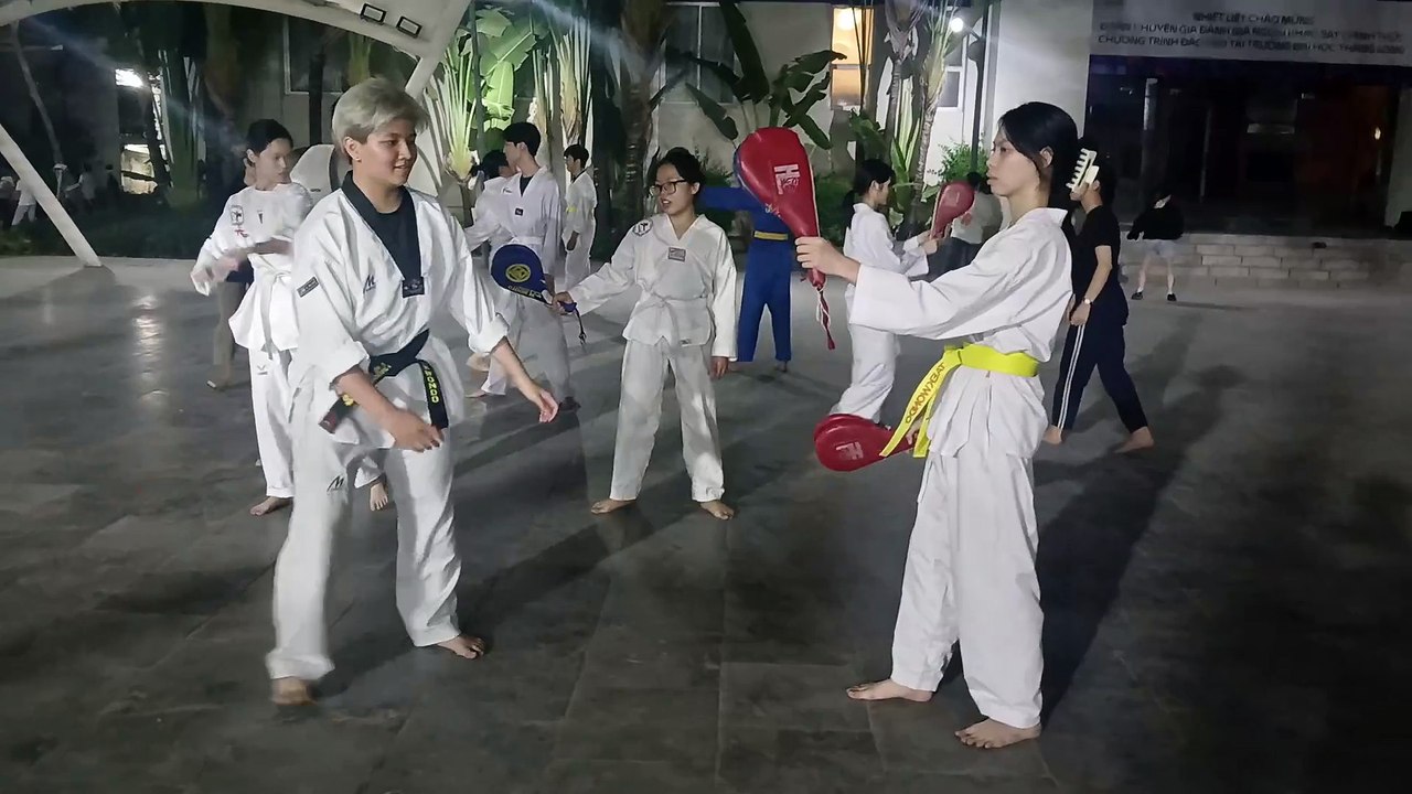 Taekwondo, tkd 20241111_193712