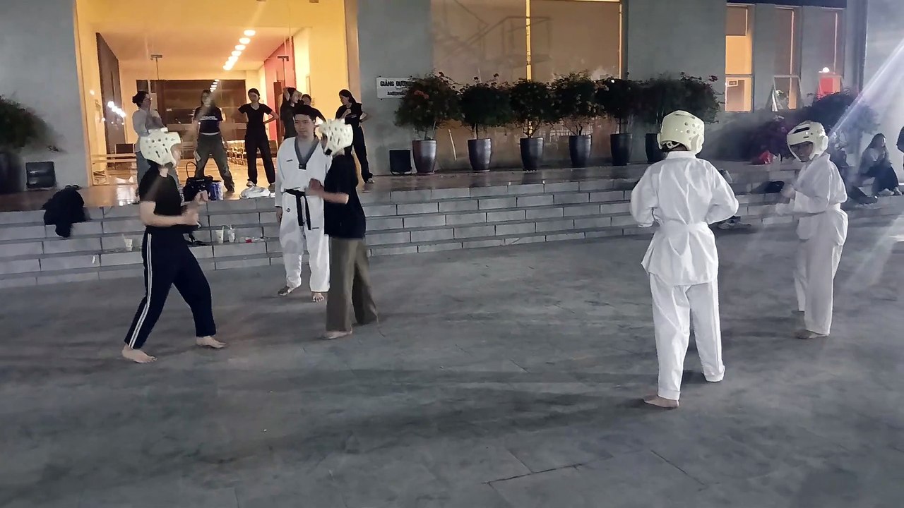 Taekwondo, tkd 20241111_195256