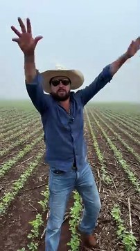 #agro #agronomia #milho #soja #agronegocio #agricultura #agrotaigo #agriculture #fazenda @salvatico.agro