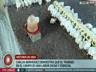 Especial | Carlos Bermúdez una historia de trabajo digno y esencial en Venezuela