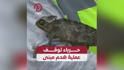 حرباء توقف عملية هدم مبنى