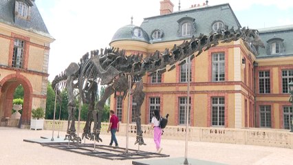 Esqueleto gigante de dinosaurio se vendió por 6 millones de euros en Francia