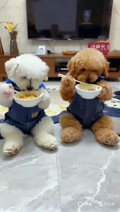 CUTEST Pets Animals EVER!