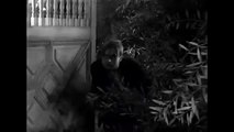 THE VAMPIRE BAT Exclusive Full Fantasy Horror Movie Premiere 2024