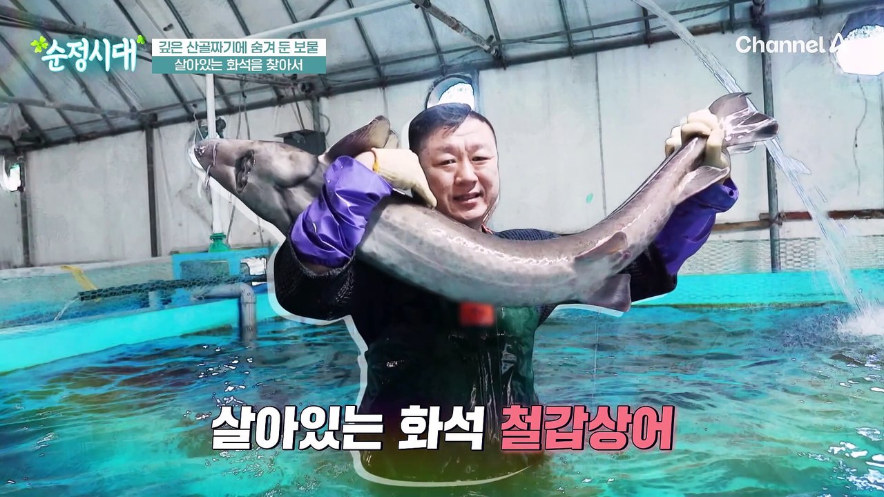 철갑상어 답이 있다?! 숨겨진 관절 건강에 도움 주는 철갑상어 콘드로이친
