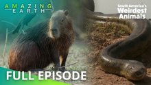 Amazing Earth: South America's weirdest animals you won't believe exist!