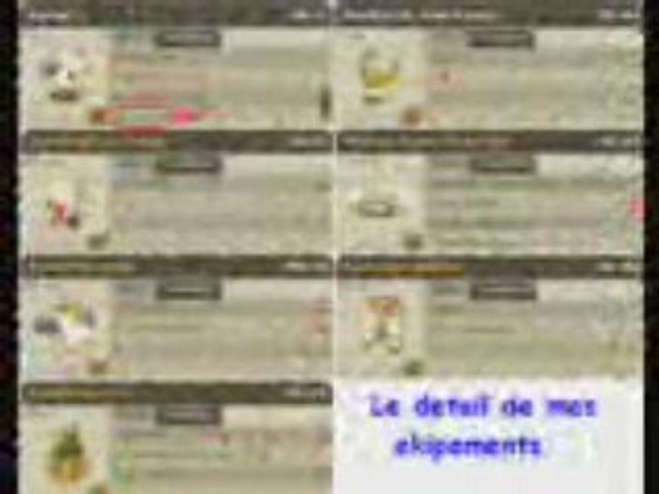 sadida 5X sur brumaire