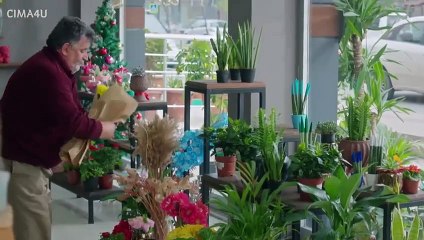 مسلسل نجمة الشمال الحلقة 190 مدبلجة