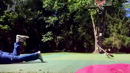 Viral Fails You May Have Missed Try Not To Laugh Funny Videos 2024