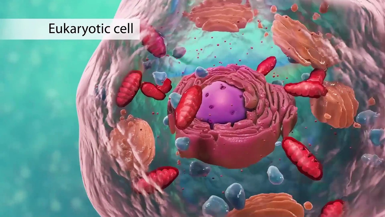 Microscopic Cell