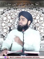 اللہ تعالی کی قدرت کی شان کیا ہے اس ویڈیو میں دیکھیں