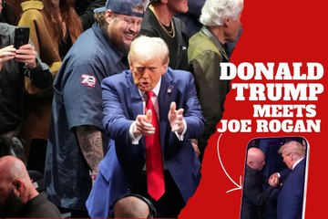 Donald Trump’s Hilarious Reunion with Joe Rogan at UFC 309, Featuring Elon Musk