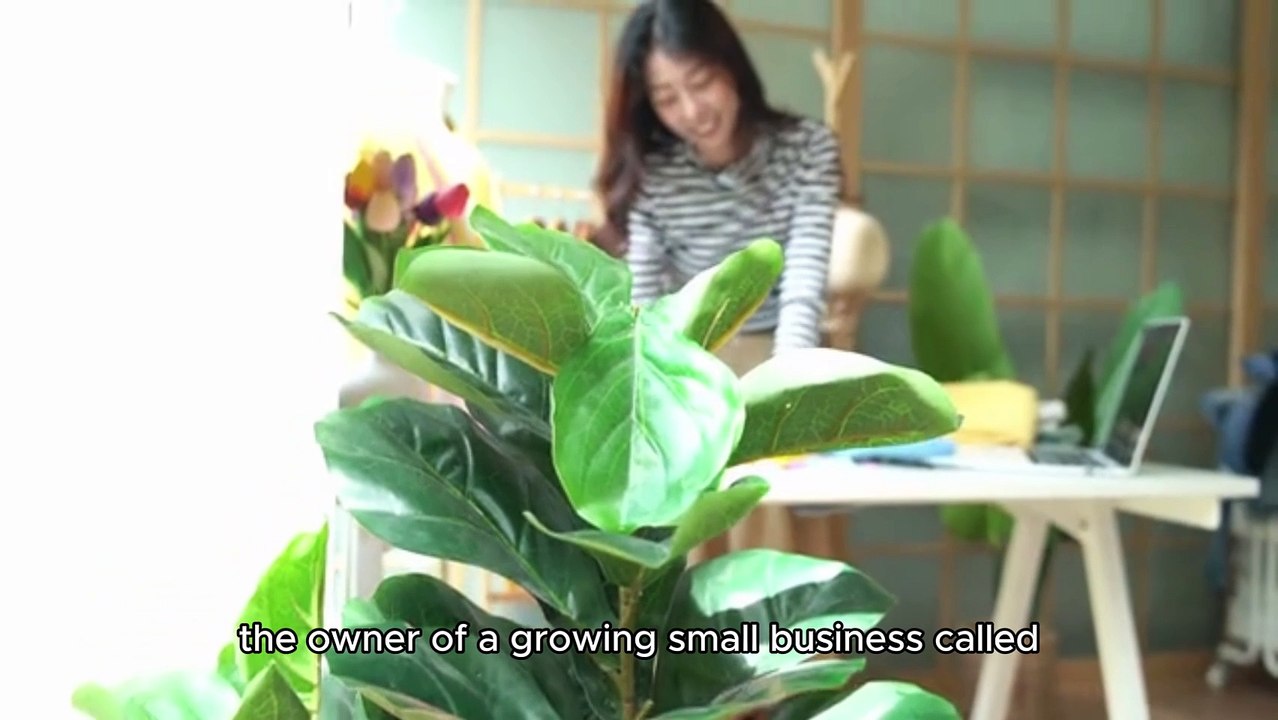 Affordable AI Chatbot Solutions for Small Business Websites