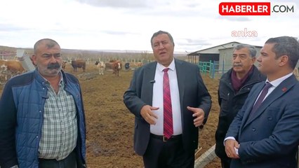 CHP'li Ömer Fethi Gürer: "Yetkililer 'Sorun Yok' Diyor, Ama Son 2 Yılda Türkiye 1 Milyon 200 Bin Hayvan İthal Etti"