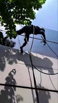 Jasa Cat Dinding Gedung di Palmerah Jakarta Barat | Jasa Pengecatan Gedung untuk Perlindungan Eksterior yang Optimal