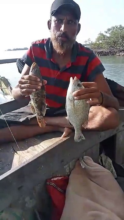 picnic and fishing trip mangrove almania