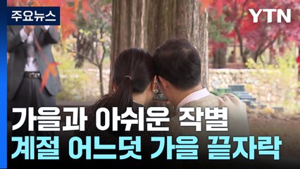 가을과 아쉬운 작별...늦가을 정취 가득 / YTN