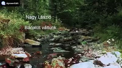 Négy költő négy Világ   Nagy László ,  Baranyi Ferenc ,  József Attila ,  Ady Endre