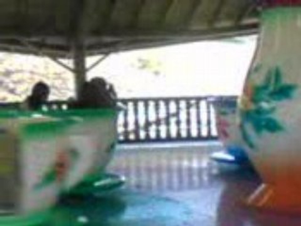 tasse 2 25 avriil 3 curé