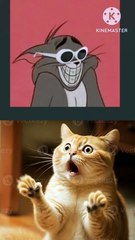 No Pollution, No Exes, Just Handsome Guys & Vitamins!!!!