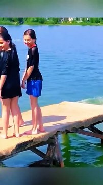 Funny animal videos 😹🤣 #funnyanimals #pet #cat #dog #cute #animals