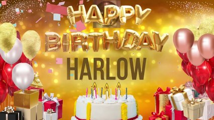 HARLOW - Happy Birthday Harlow