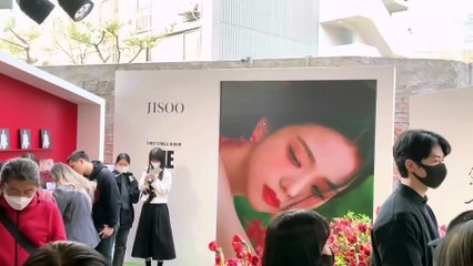 COREA vlog ¦ sintiéndome solo, conociendo a JISOO, muchos CEREZOS y cafes 🌸☕️🇰🇷