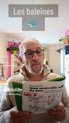 Les baleines 🐳