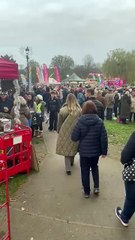 Crowds at Farnham Christmas lights switch-on 2024