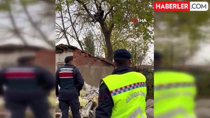 Jandarma, Tekirdağ'da İntihar Girişimini Engelledi