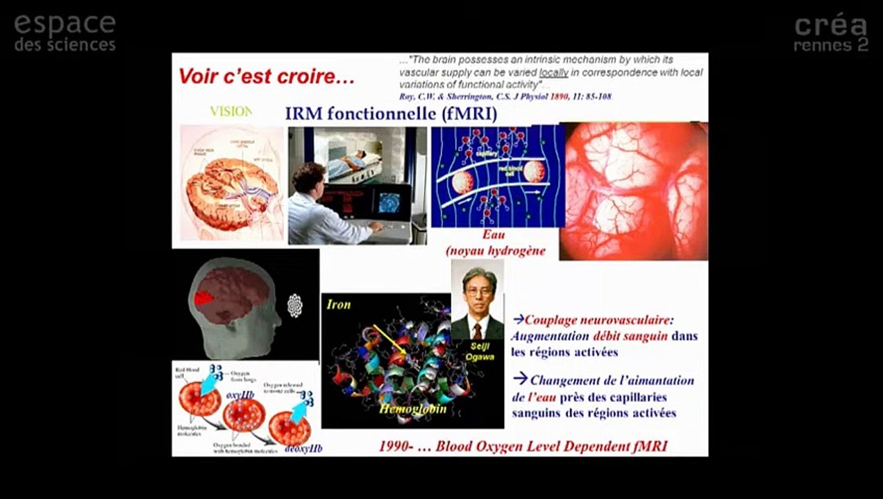 [Denis Le Bihan] Voir le cerveau penser !