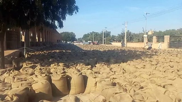 आज से समर्थन मूल्य पर मूंग खरीद की किसानों की संख्या बढ़ाई, भुगतान भी हुआ शुरू