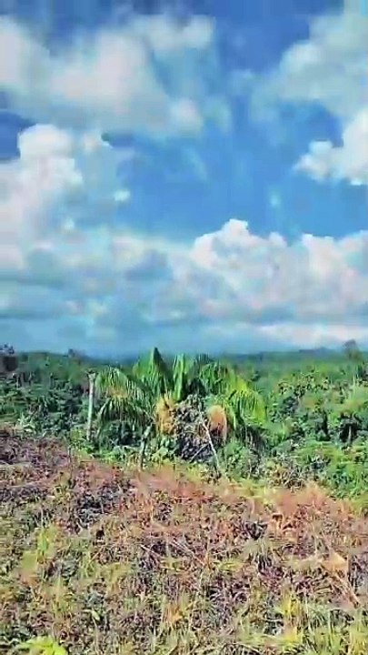 jauh sekali