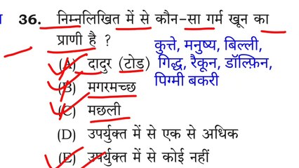 bpsc tre 3.0 1 to 5 question paper _ tre 3.0 bpsc 1to5 answer key _ bpsc 1to5 previous year question(720P_60FPS)