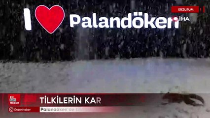 Palandöken’de tilkilerin kar sevinci