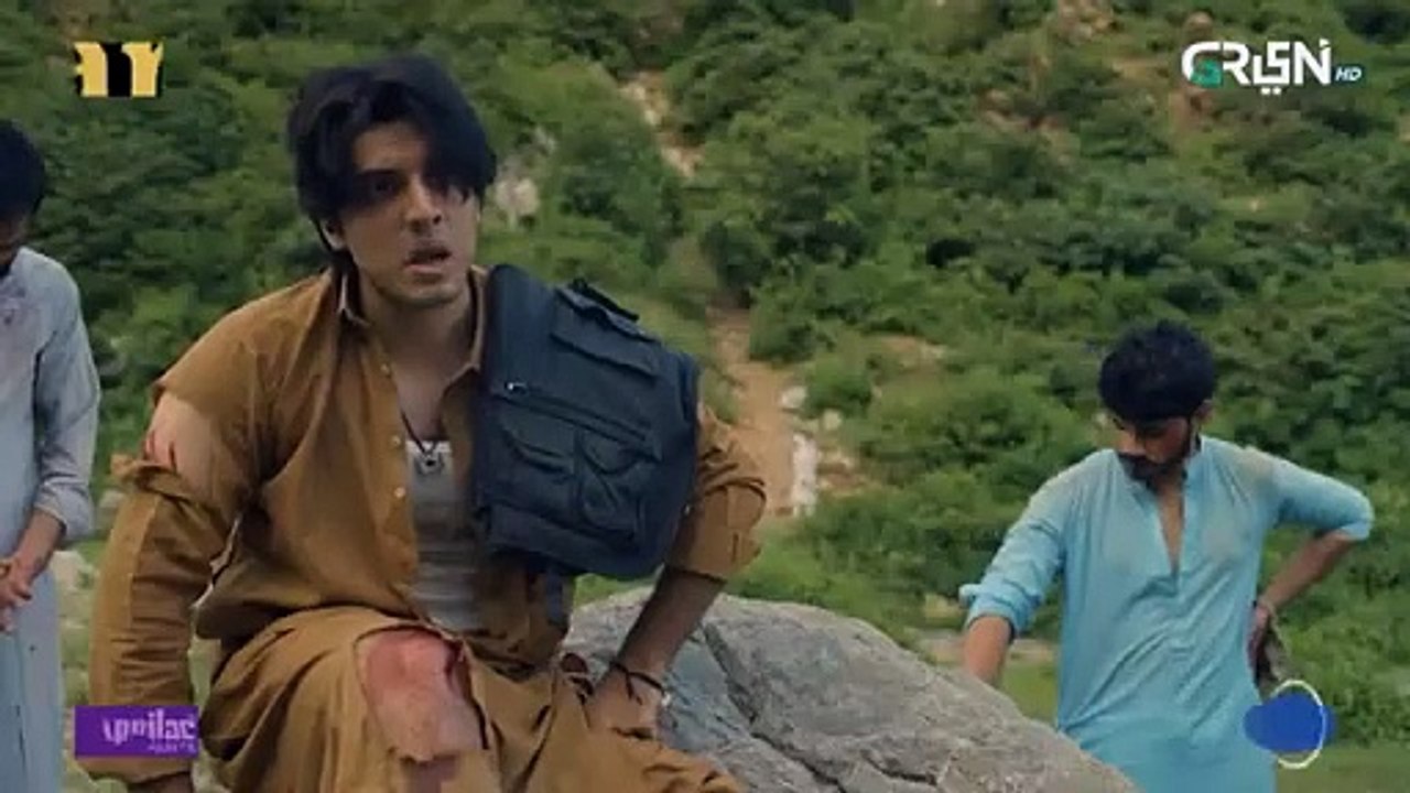 Faraar Episode 1 [CC] Hamza Ali Abbasi _ Ahmed Ali Akbar _ Sohai Ali Abro _ 17th Nov 2024 _ Green TV(360P)