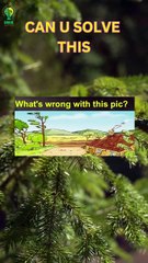 Can you guess the answer just in 5 seconds