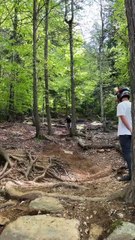 Cyclists are doing some downhill riding in the Italian Alps!